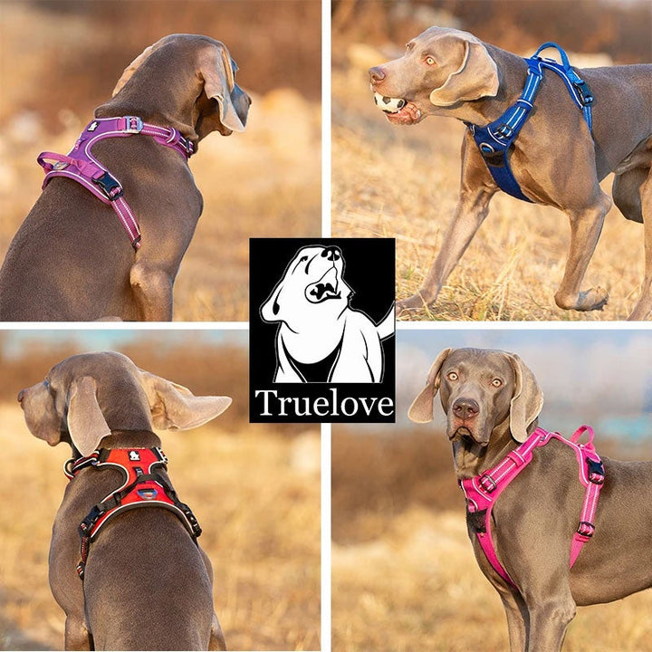 True Love No Pull Explosion Proof Dog Harness - Purple, M - Image 4